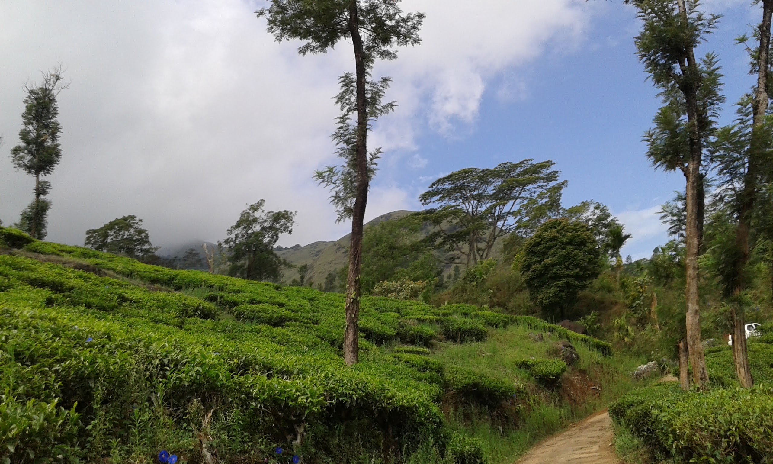 My Travel-On the way to Chembra Peak,Trekking Place,Wayanad,Kerala,India