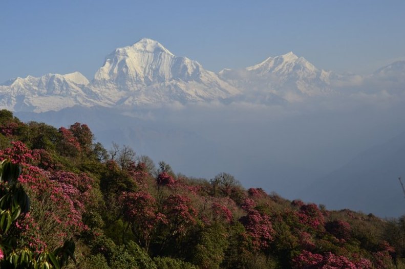 Как путешествовать самостоятельно и дешево по Непалу и Мустангу