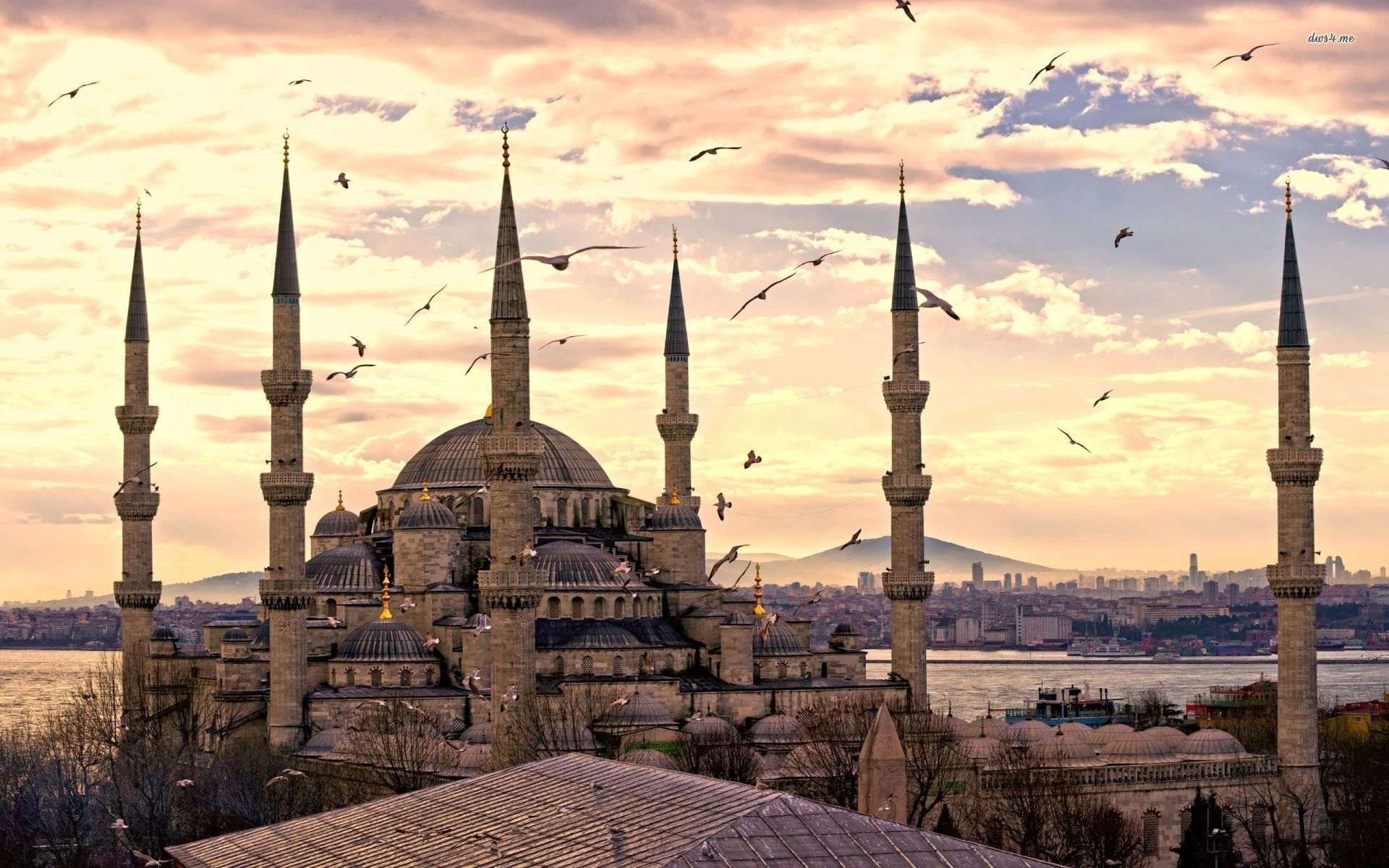 Запорожье — Стамбул: новый постоянный рейс от Pegasus