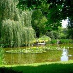 gallery_1430387661_1309048447_fit
