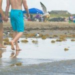 gallery_1430818813_825510829_fit